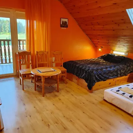 Kakumuiza Holiday home Ikskile